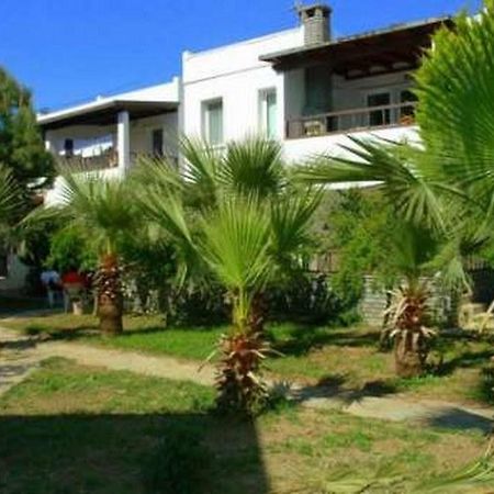 Alfa Apartments Bodrum Exteriör bild