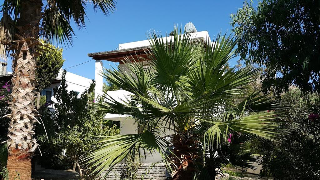 Alfa Apartments Bodrum Exteriör bild