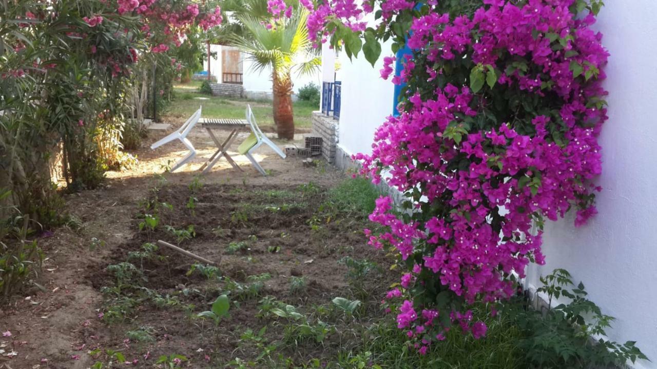 Alfa Apartments Bodrum Exteriör bild