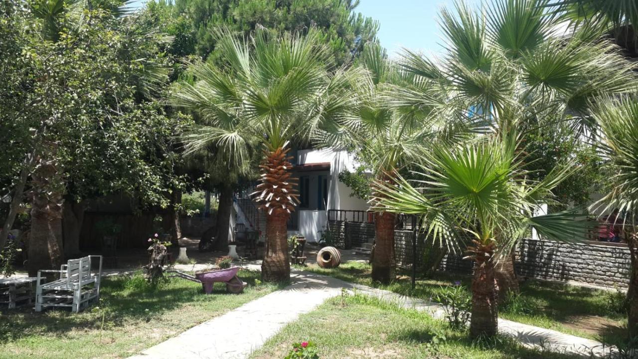 Alfa Apartments Bodrum Exteriör bild