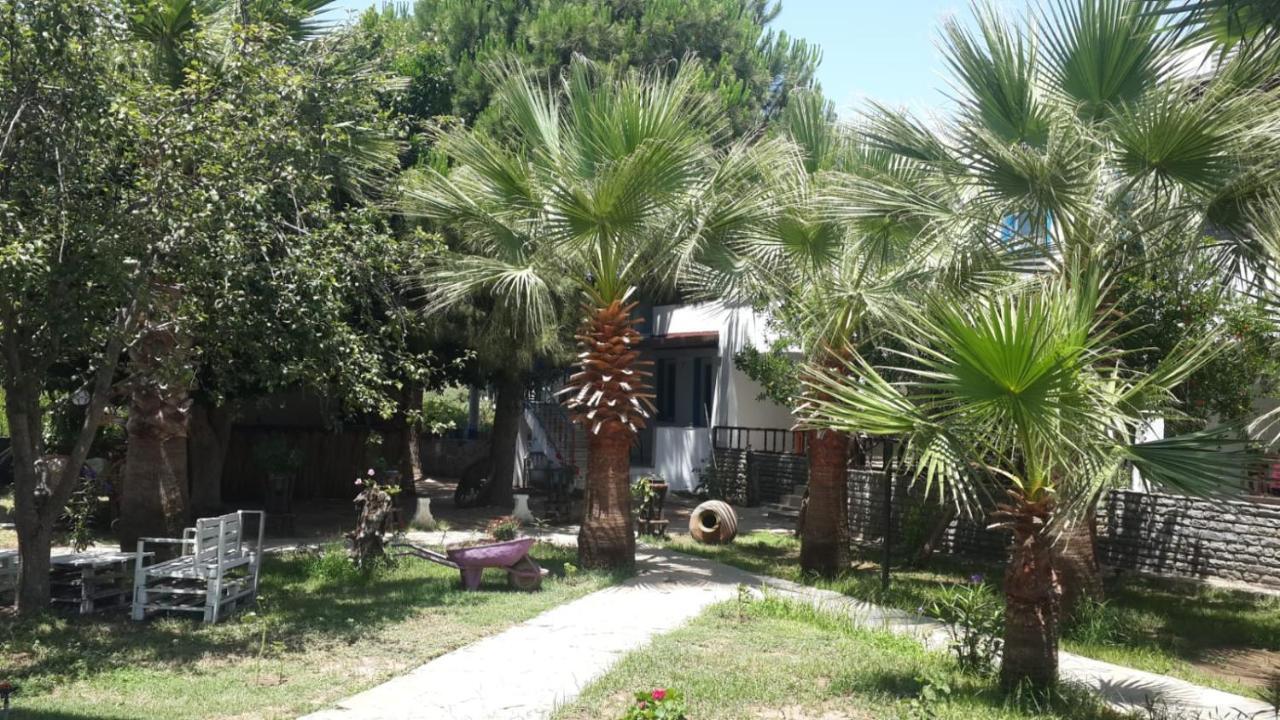 Alfa Apartments Bodrum Exteriör bild
